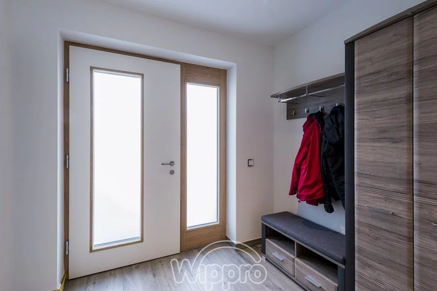 VCHODOVÉ DVEŘE WIPPRO – Danburit