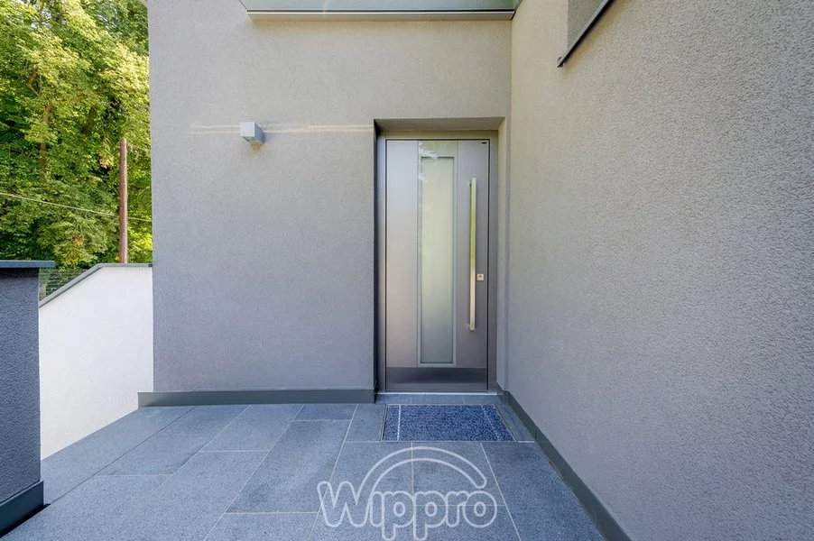 VCHODOVÉ DVEŘE WIPPRO – OPAL